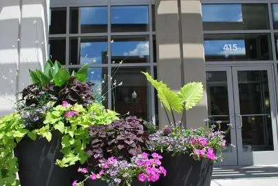 night view of exterior of 415 Premier Apartments