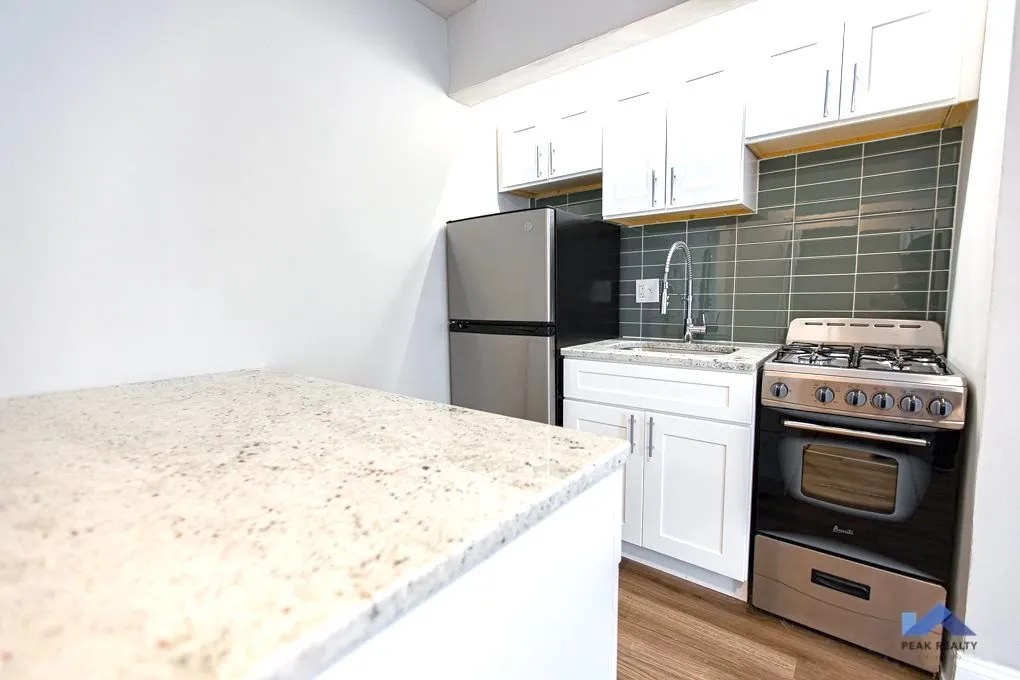 420 W MELROSE ST 60657-420 W Melrose-Chicago-IL