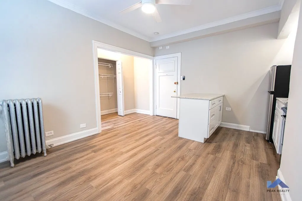 420 W MELROSE ST 60657-420 W Melrose-Chicago-IL