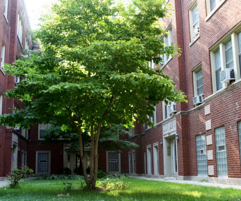 building exterior