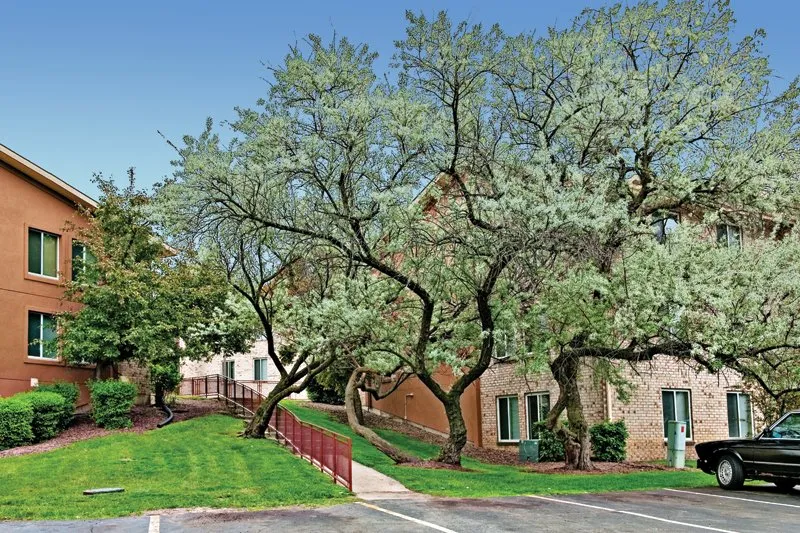 reflection pond in front of Lakeside Apartments in Lisle, IL