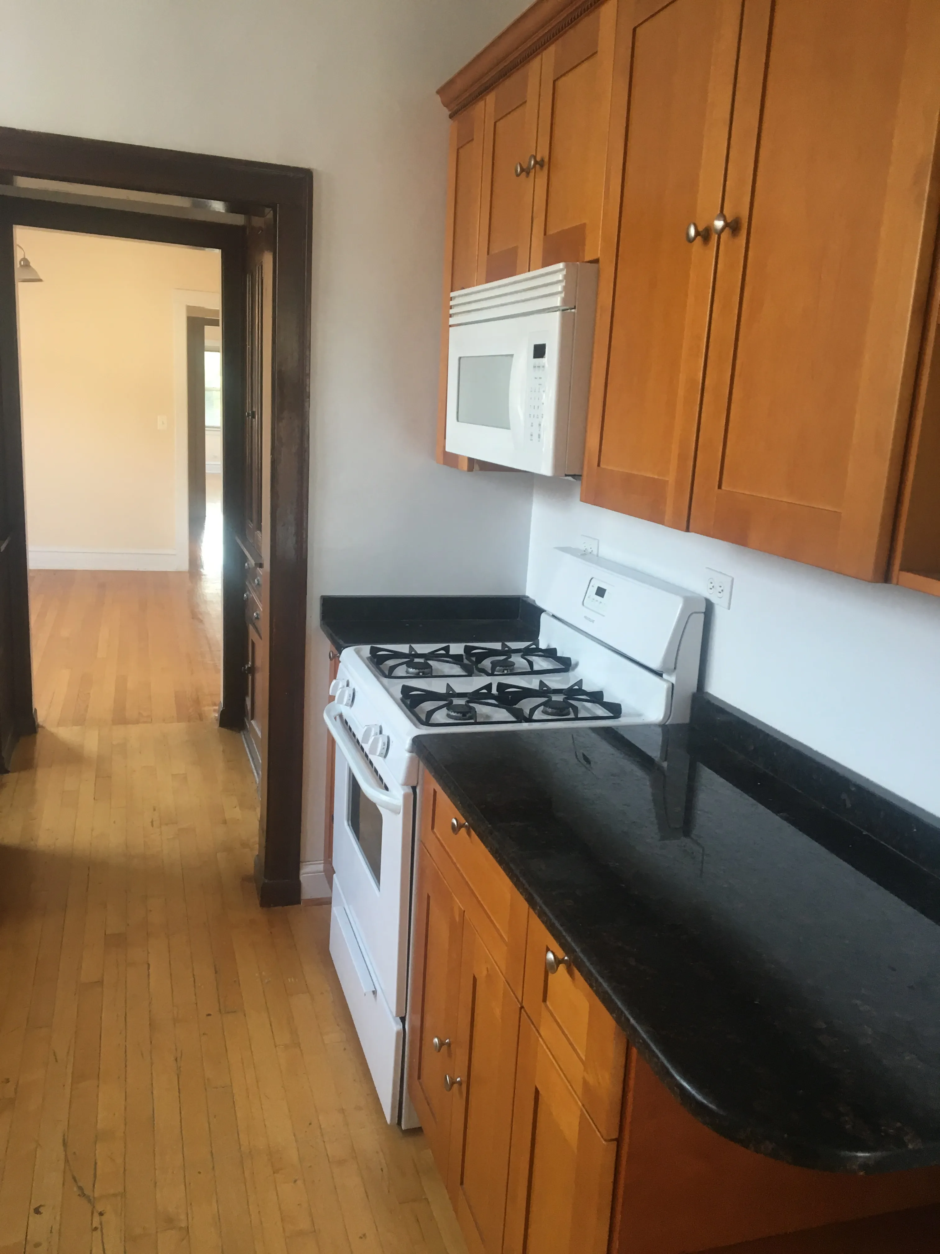 4950 N ALBANY AVE 60625-unit#Apt 2-Chicago-IL