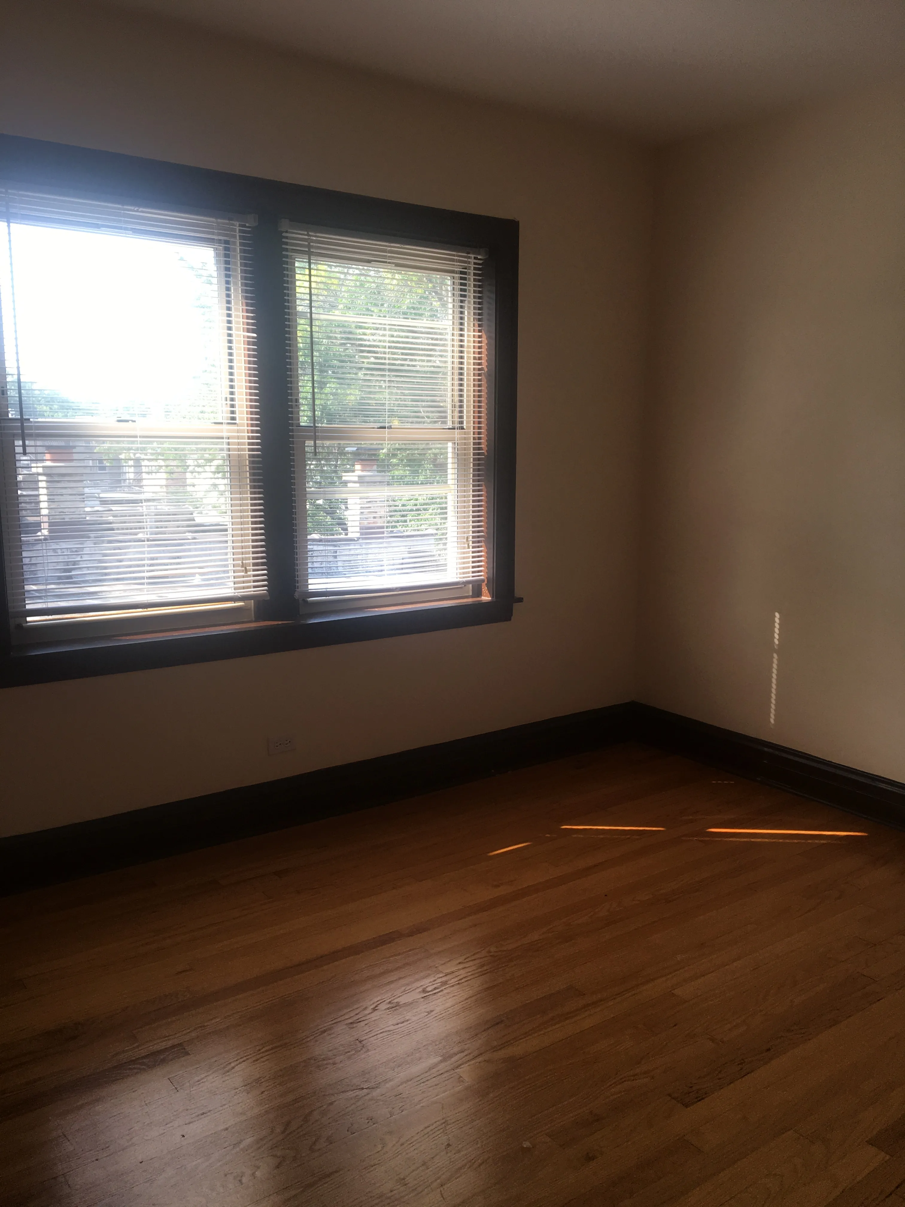 4950 N ALBANY AVE 60625-unit#Apt 2-Chicago-IL