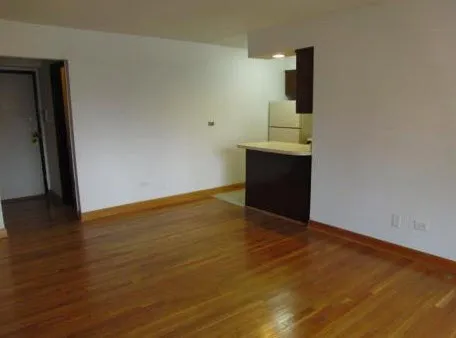 2930 North Pine Grove Apartments