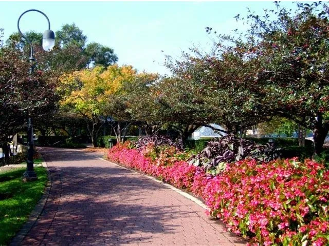 entry garden of Grand Reserve of Naperville Apartments