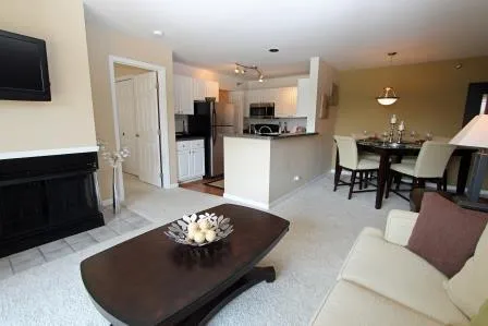 348  GLENWOOD DR 60108-Camden at Bloomgindale-Blooimgdale-IL