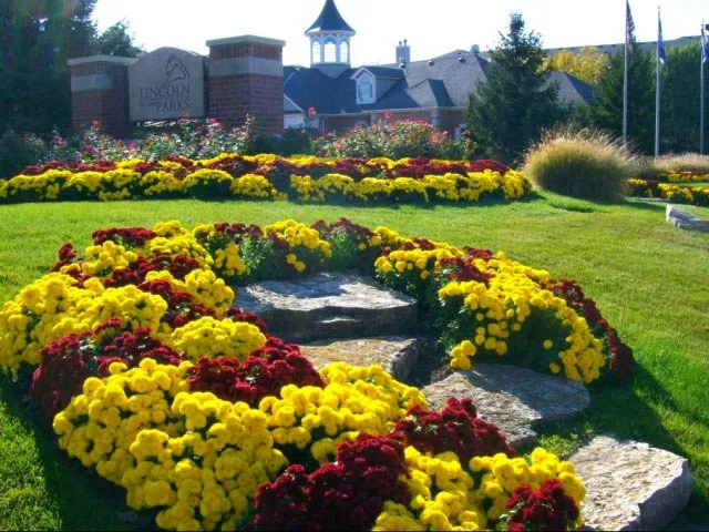 beautiful lake in front of Dwell at Naperville Apartments in Naperville, IL