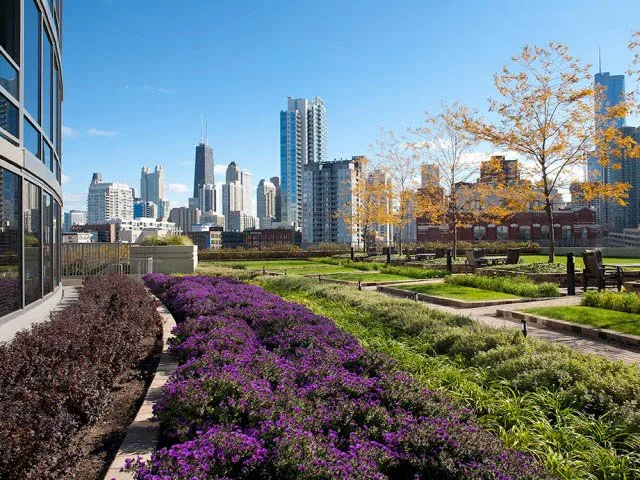 garden with downtown chicago view at Kingsbury Plaza Apartments
