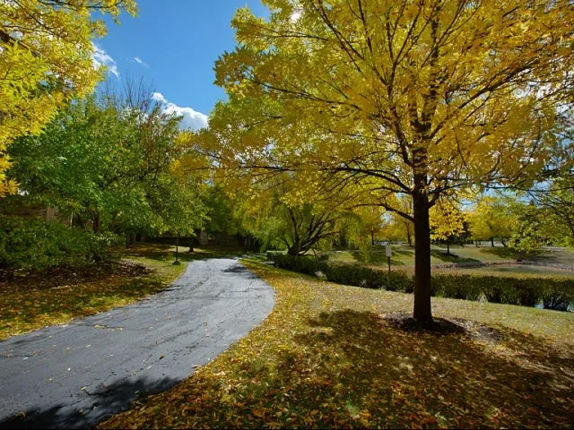 Central Park East Apartments