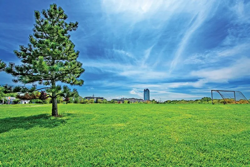 Elm Creek Townhomes and Apartments