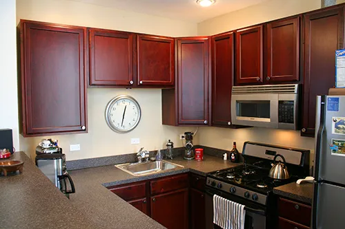 509 W WRIGHTWOOD AVE 60614-509 W Wrightwood-Chicago-IL