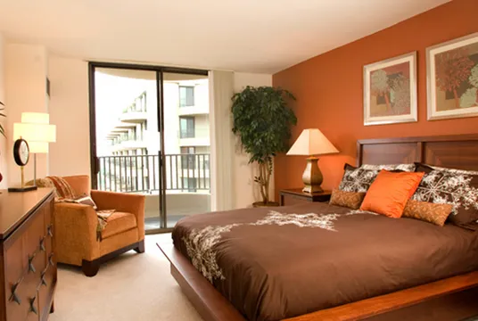 Island Terrace Apartments