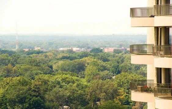 Island Terrace Apartments