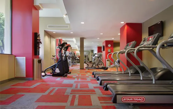 Island Terrace Apartments