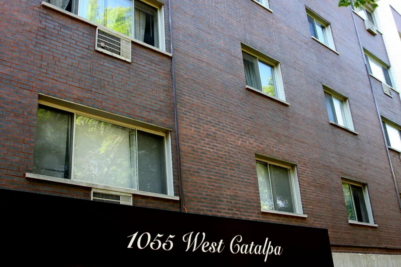 tree in front of lobby of 1055 West Catalpa Apartments in Edgewater Chicago