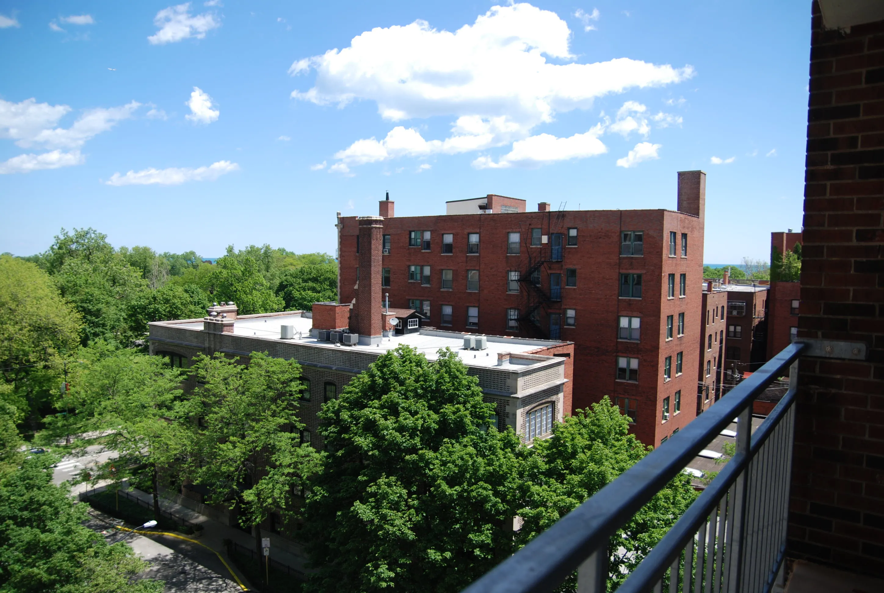 garden in front of lobby at 2340 North Commonwealth in Lincoln Park