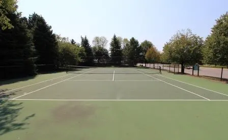 348  GLENWOOD DR 60108-Camden at Bloomgindale-Blooimgdale-IL