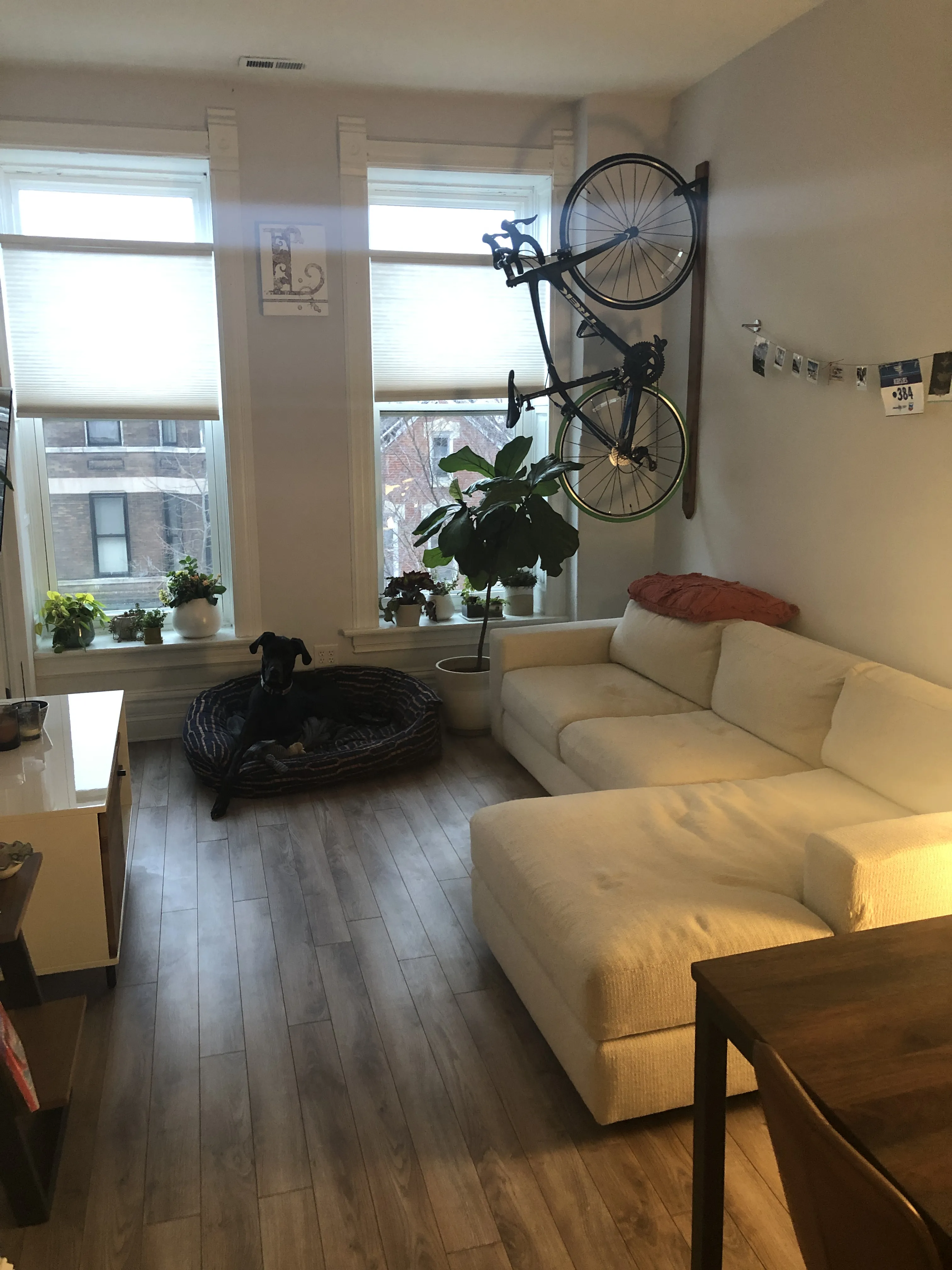 950 N WOLCOTT AVE 60622-unit#03-R-Chicago-IL