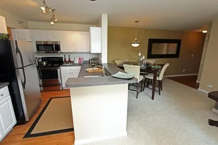 348  GLENWOOD DR 60108-Camden at Bloomgindale-Blooimgdale-IL