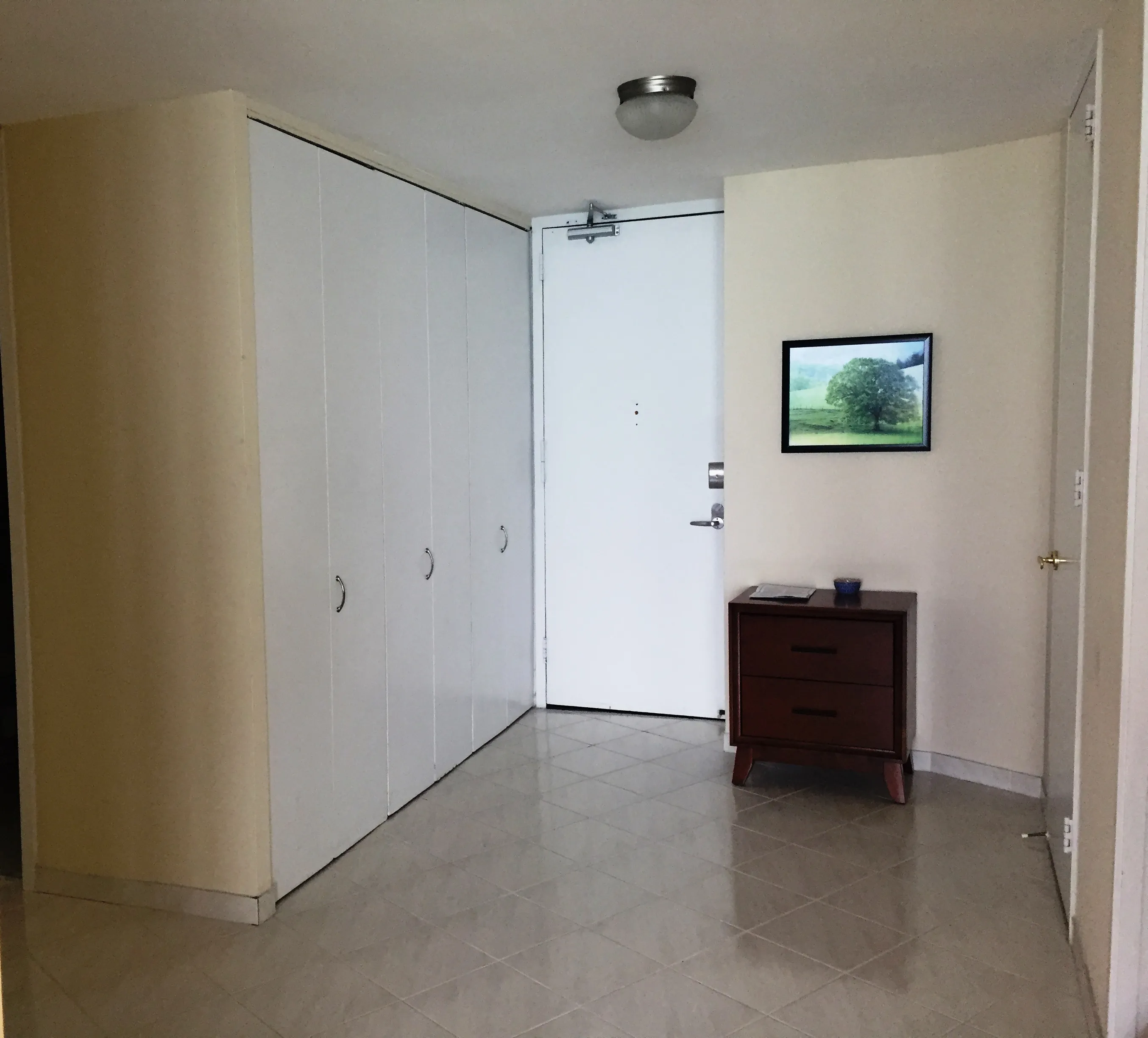 505 N LAKE SHORE DR 60611-LAKE POINT TOWER-unit#4005-Chicago-IL