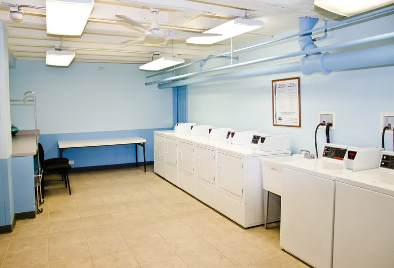 front yard and loggy of Plaisance Apartments inWoodlawn Chicago