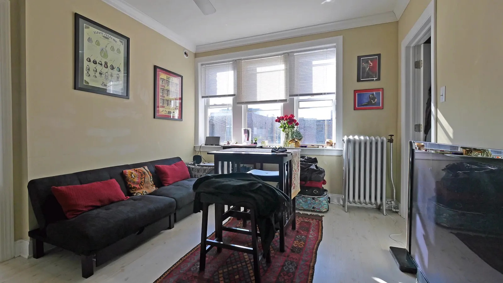 furnished and deorated unit at 839 W. Diversey Apartments in Chicago