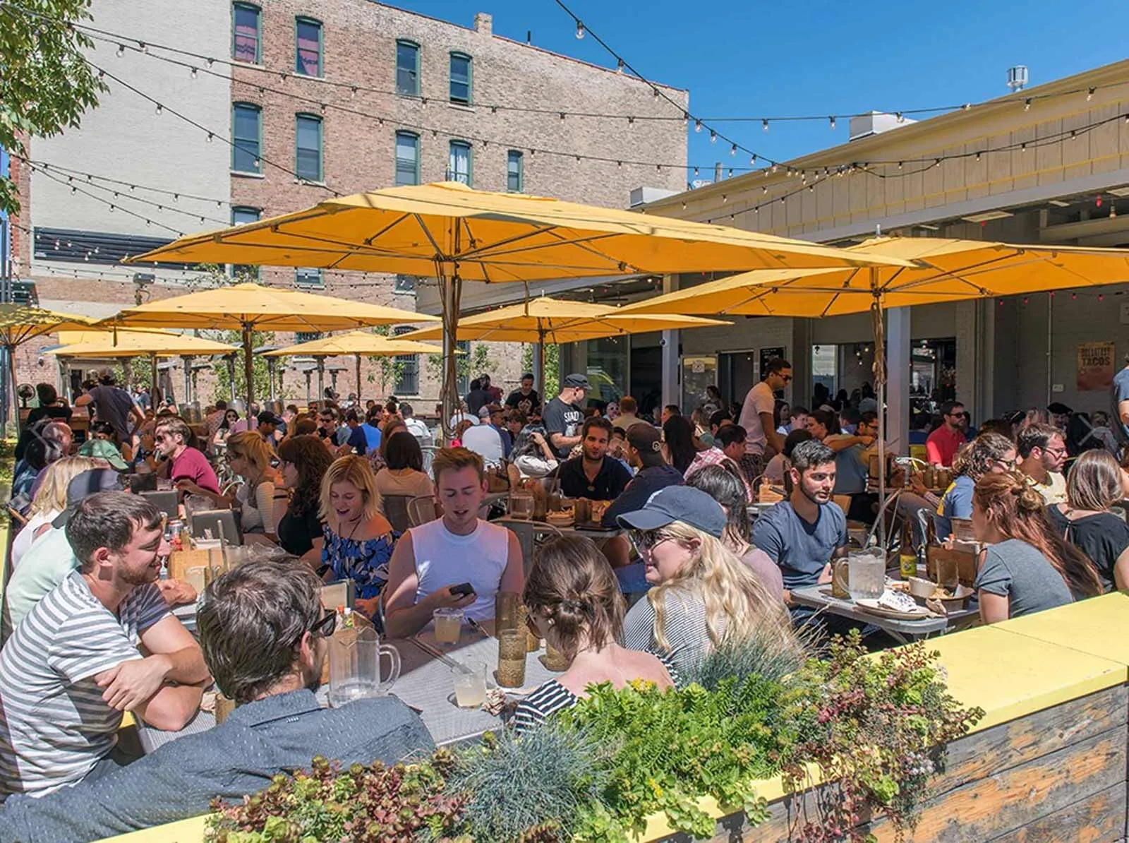 giant loft living room with wood floors at 1550 North Damen Lofts