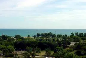 exterior view of trees and the two towers of 5630 North Sheridan Apartments