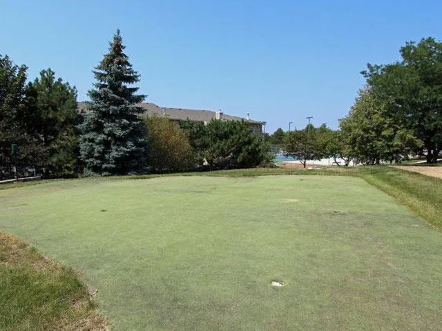 232  BUTTERFIELD DR 60108-Stratford Place-Bloomingdale-IL