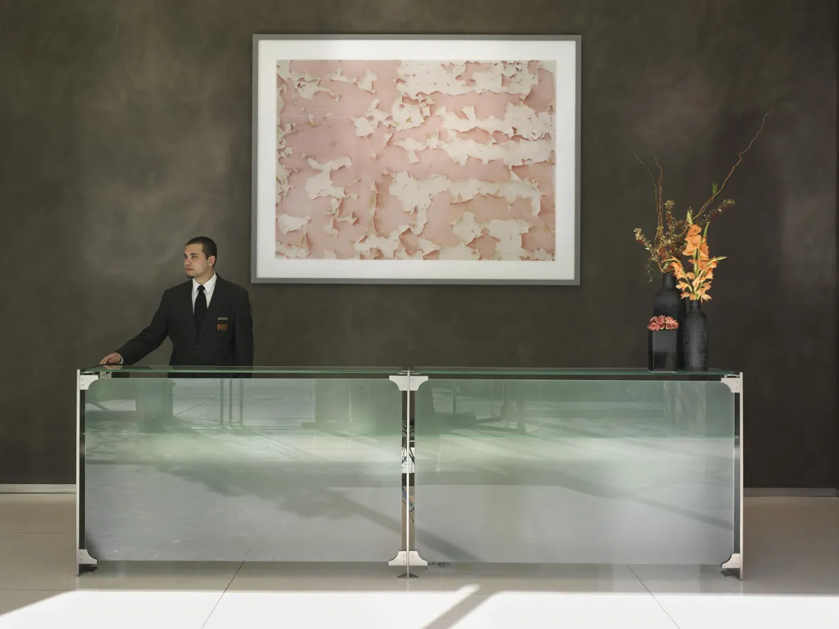 skyline Chicago view from 600 North Fairbanks Apartments