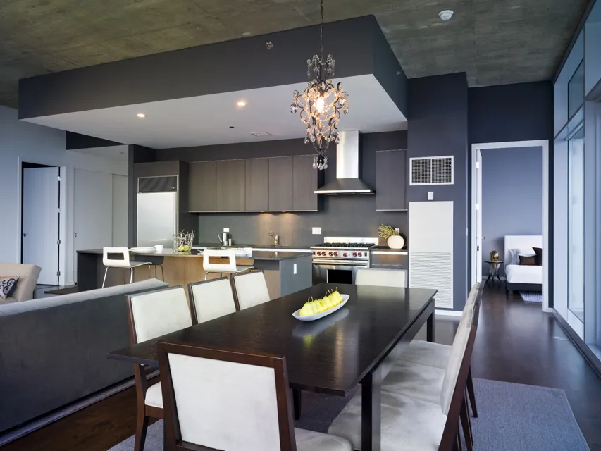 skyline Chicago view from 600 North Fairbanks Apartments