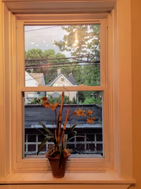 6132 N PAULINA AVE 60626-The Paulina-unit#3W-Chicago-IL