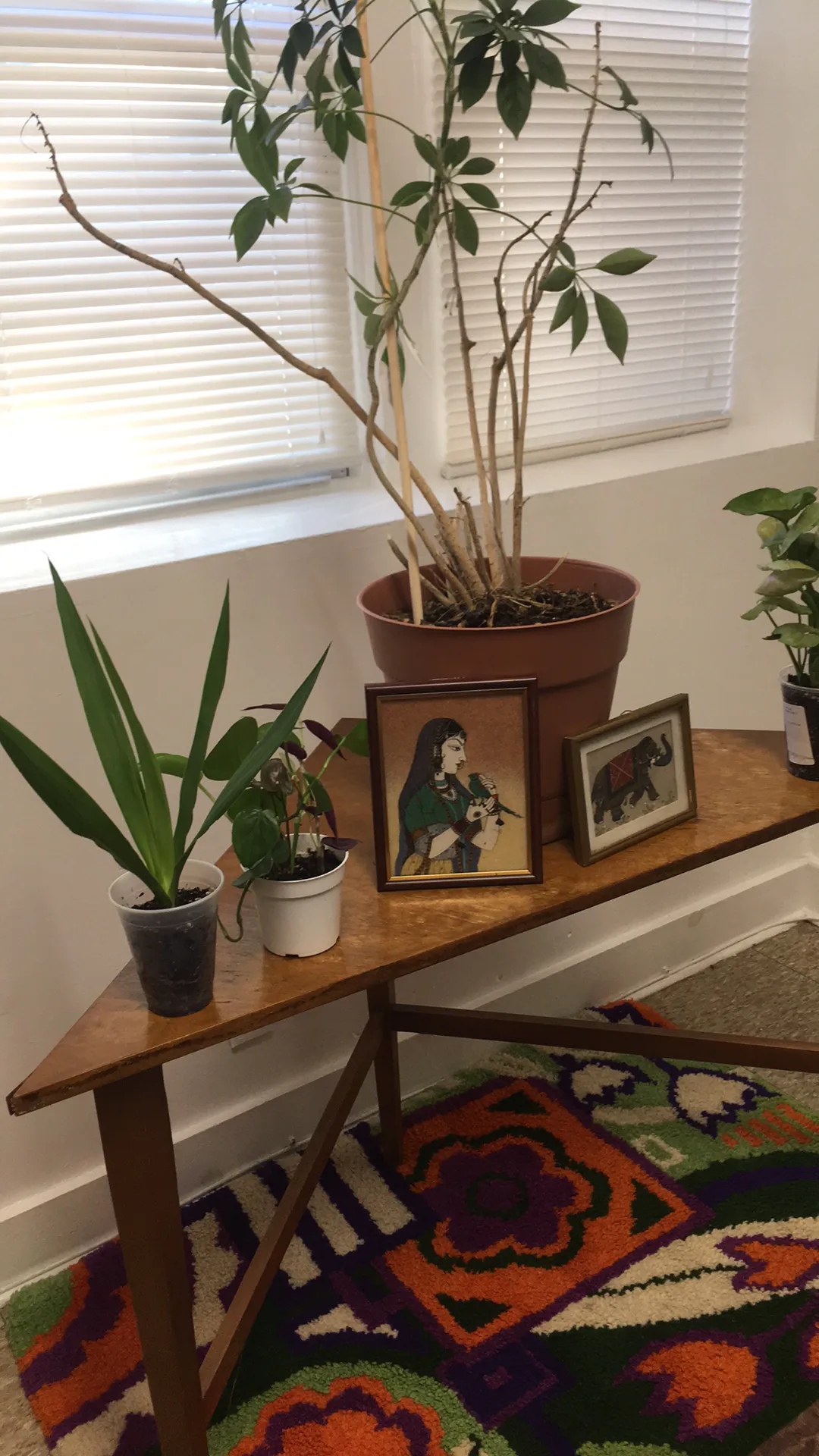 3252 W BERTEAU AVE 60618-unit#G-Chicago-IL