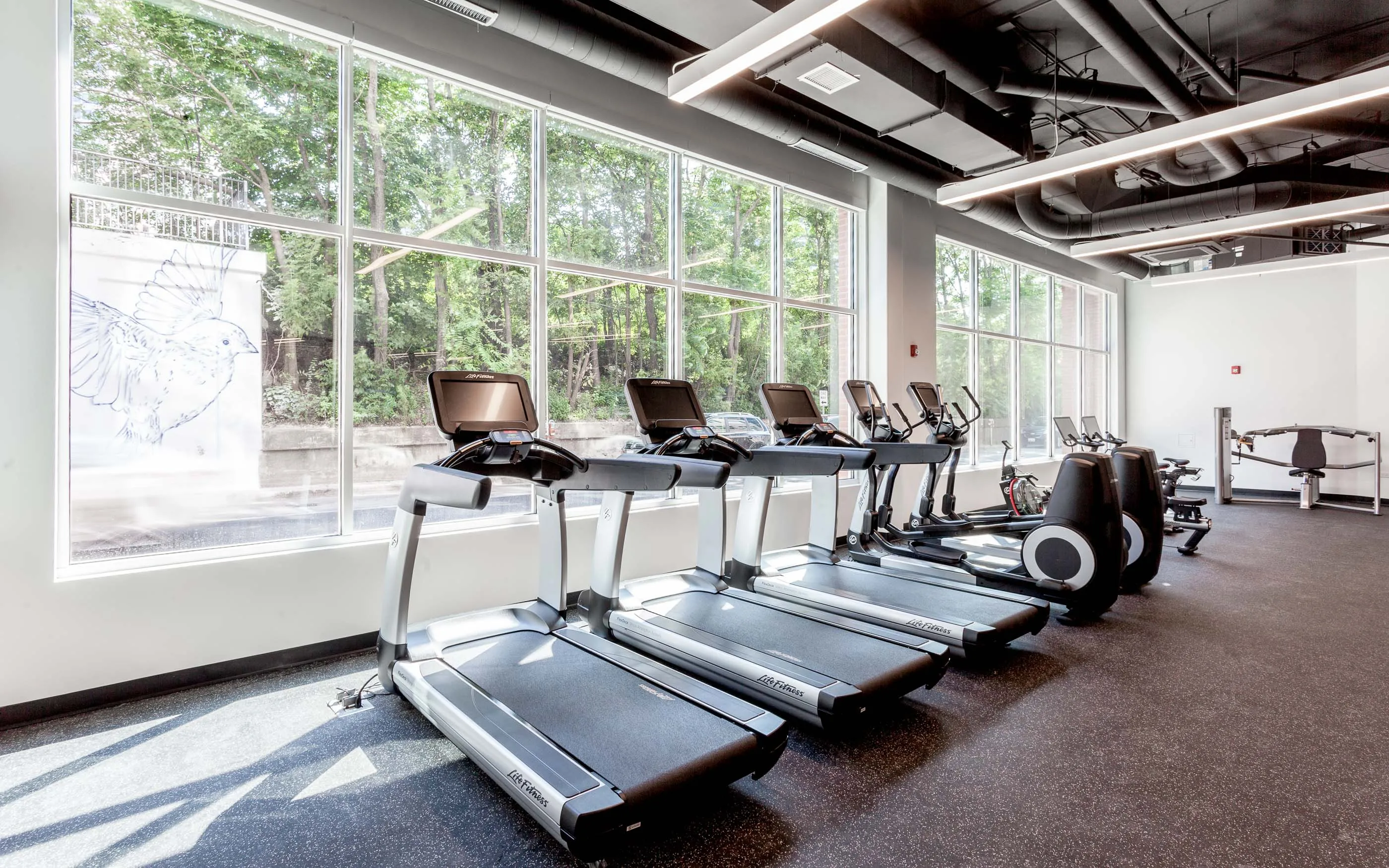 kitchen and living area in one bedroom model at Centrum Evanston Apartments