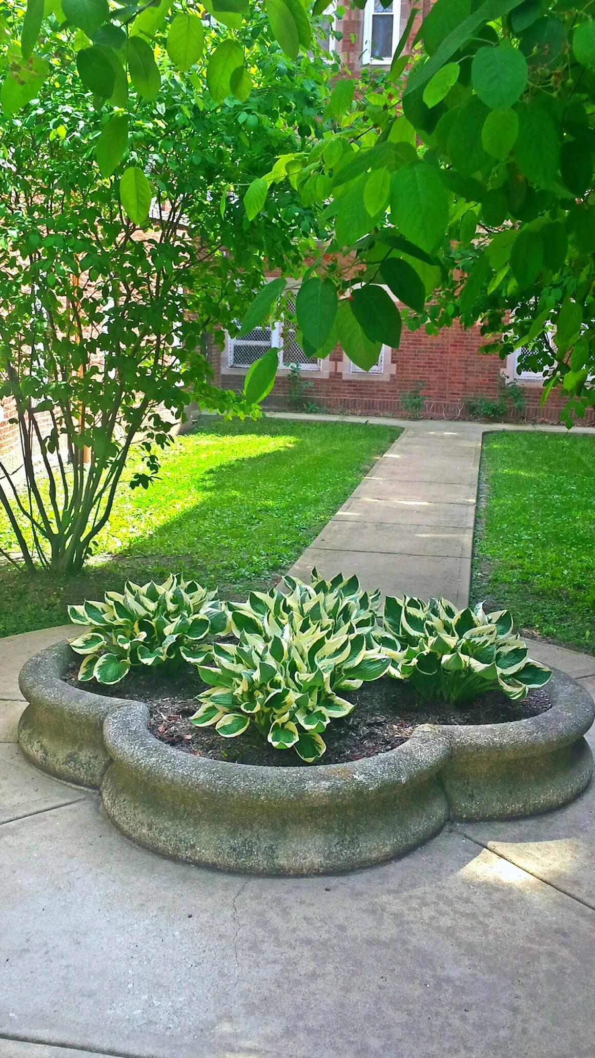 1261 West Argyle Apartments