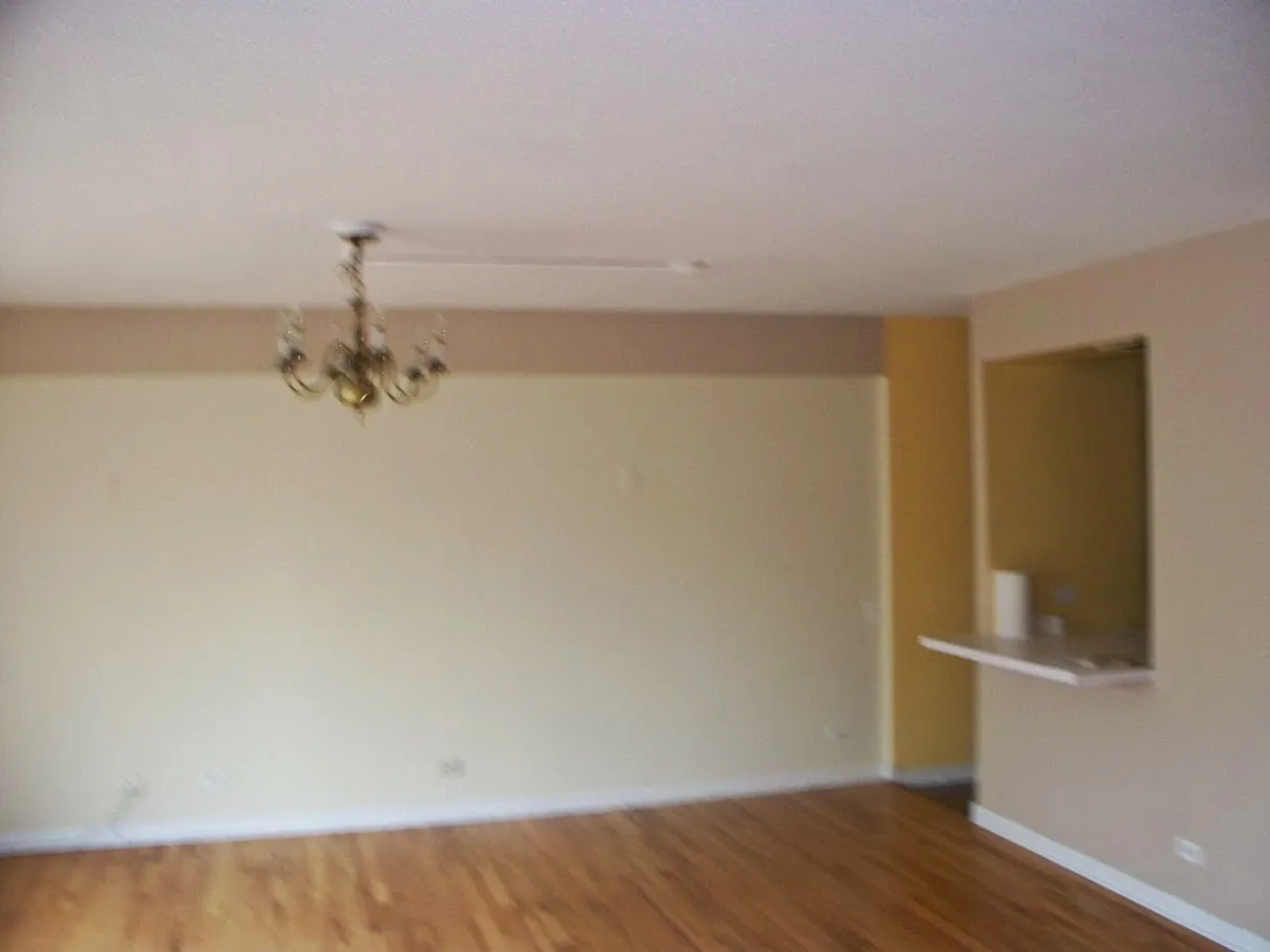 1115 S PLYMOUTH CT 60605-The Condos at Dearborn Park-unit#A-113-Chicago-IL