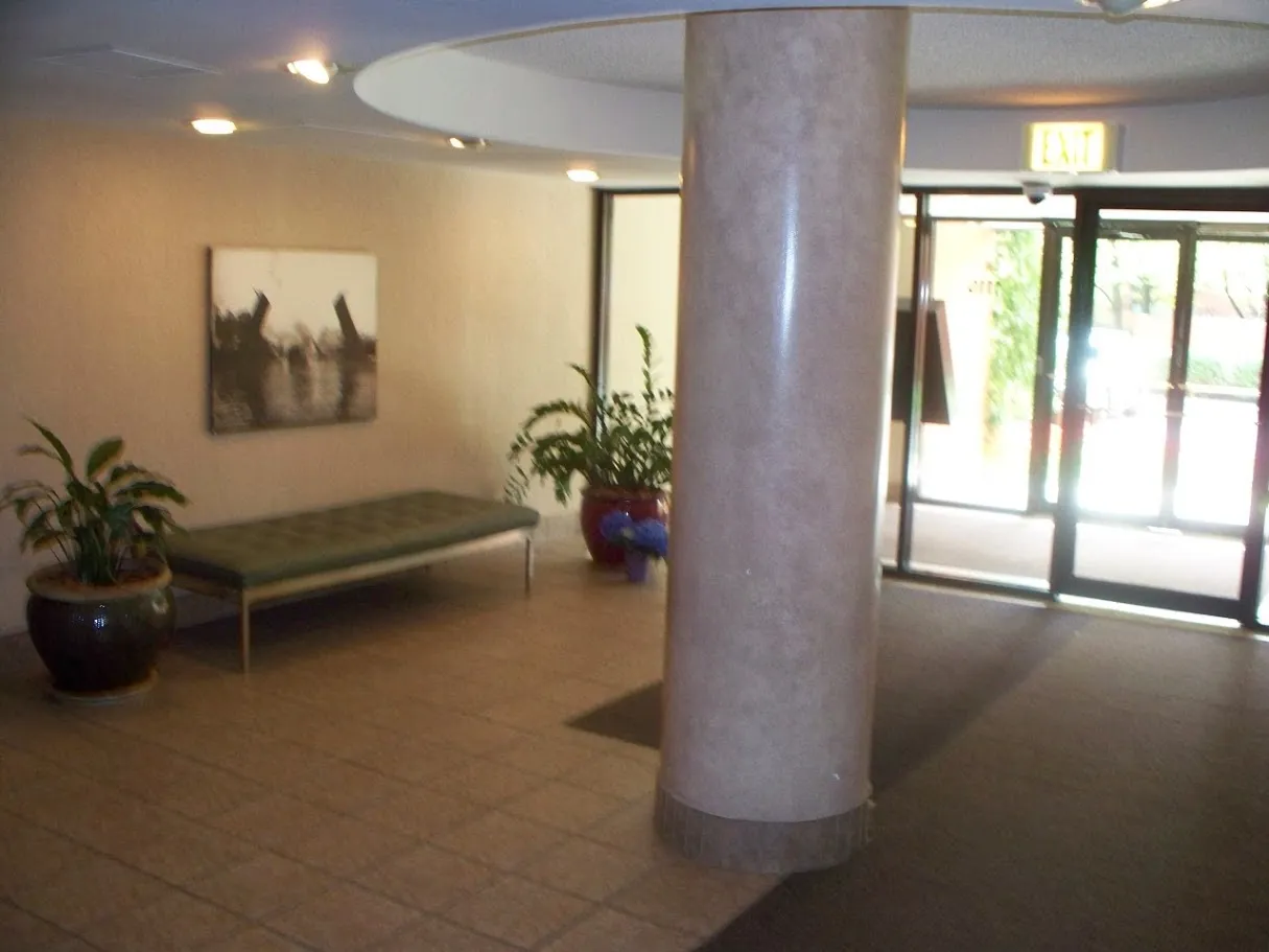 1115 S PLYMOUTH CT 60605-The Condos at Dearborn Park-unit#A-113-Chicago-IL