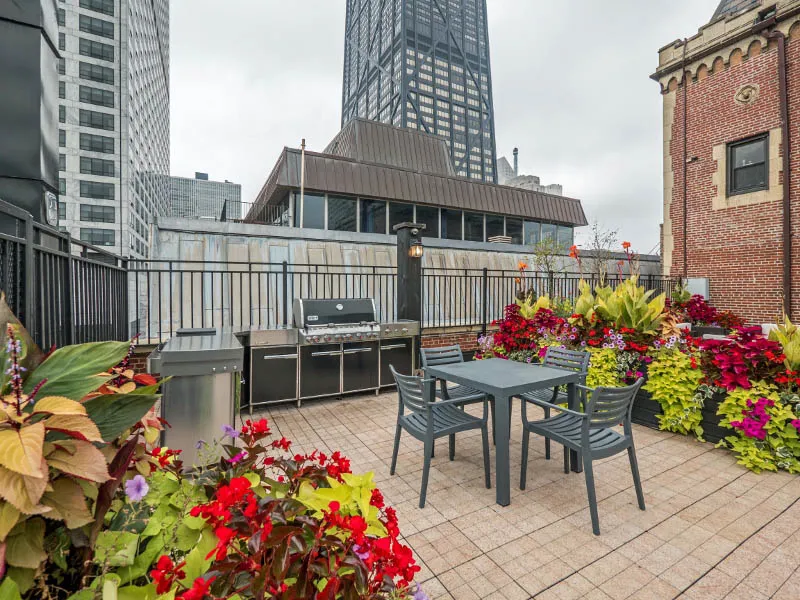 roof deck at The Chatelaine apartments in the Gold Coast Chicago