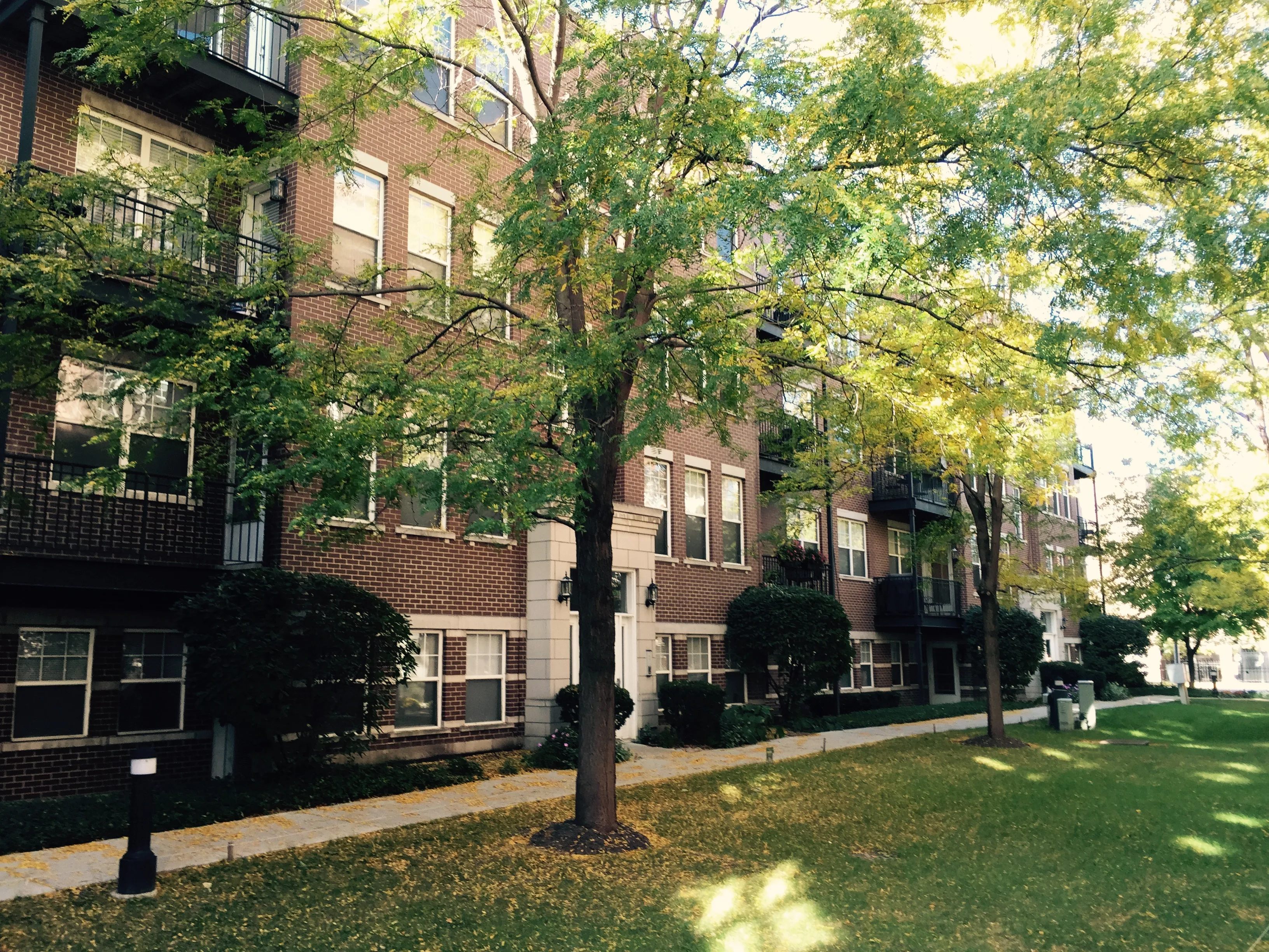 303 W SCOTT ST 60610-Old Town Square Two-unit#A303-Chicago-IL