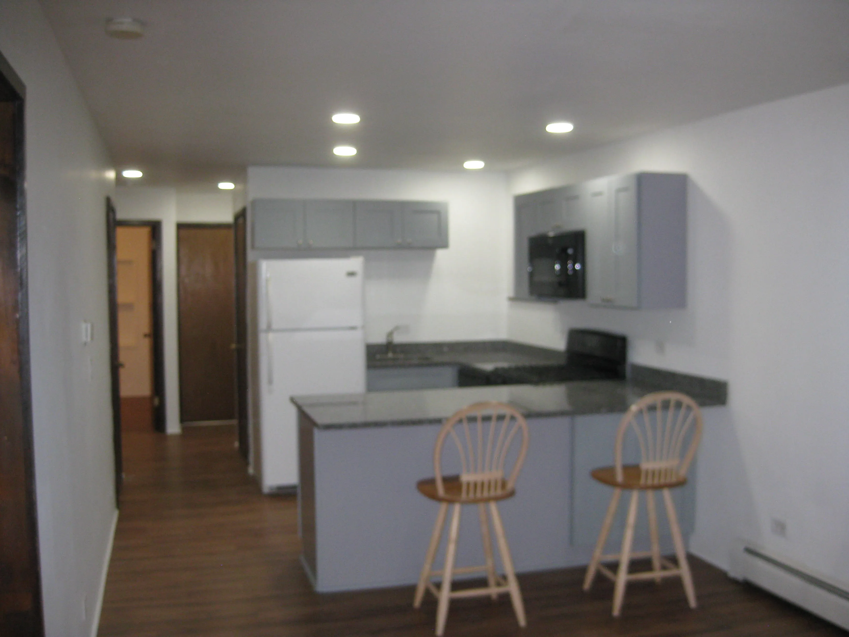 1038 W GEORGE ST 60657-unit#G-Chicago-IL