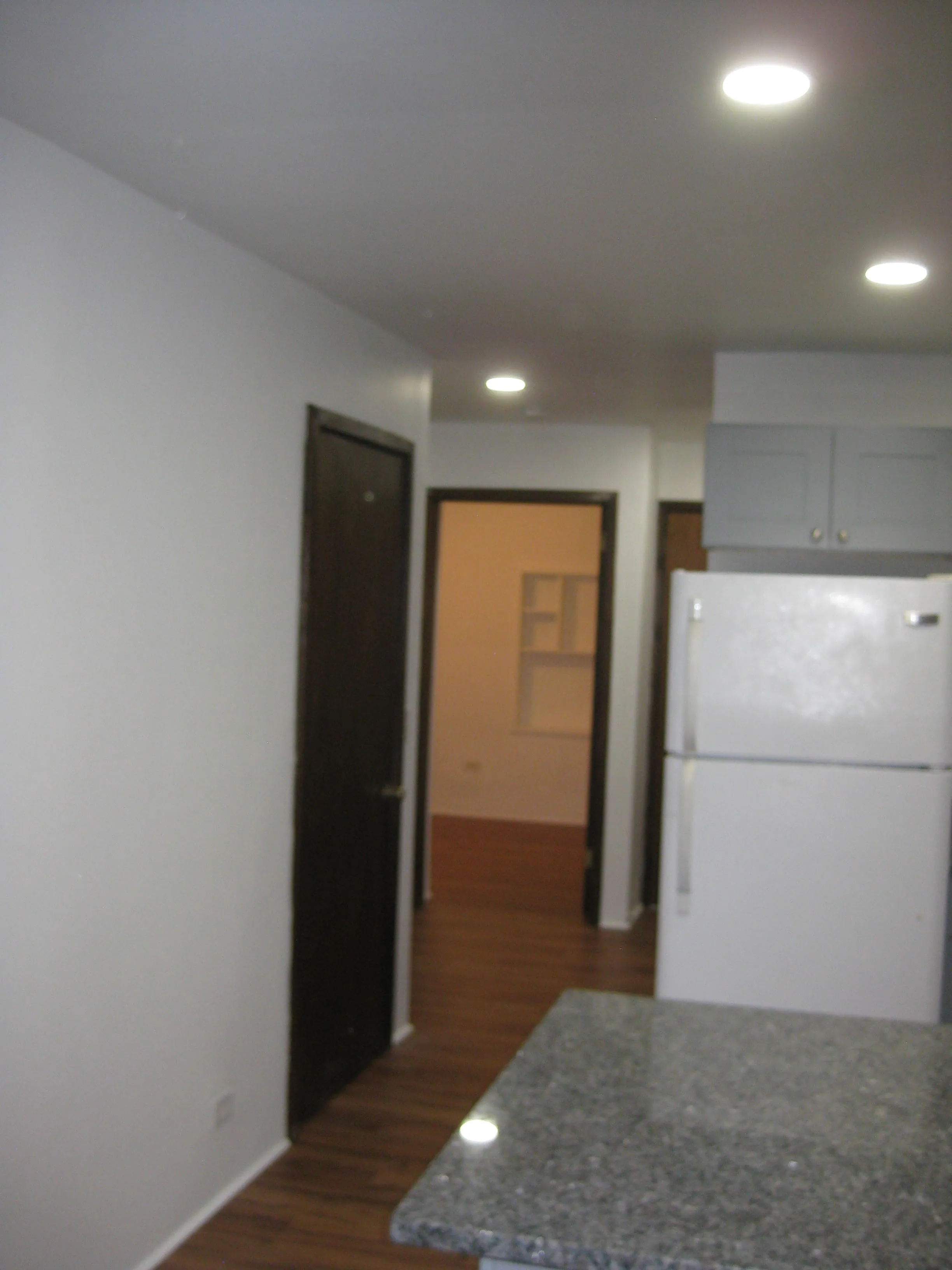 1038 W GEORGE ST 60657-unit#G-Chicago-IL