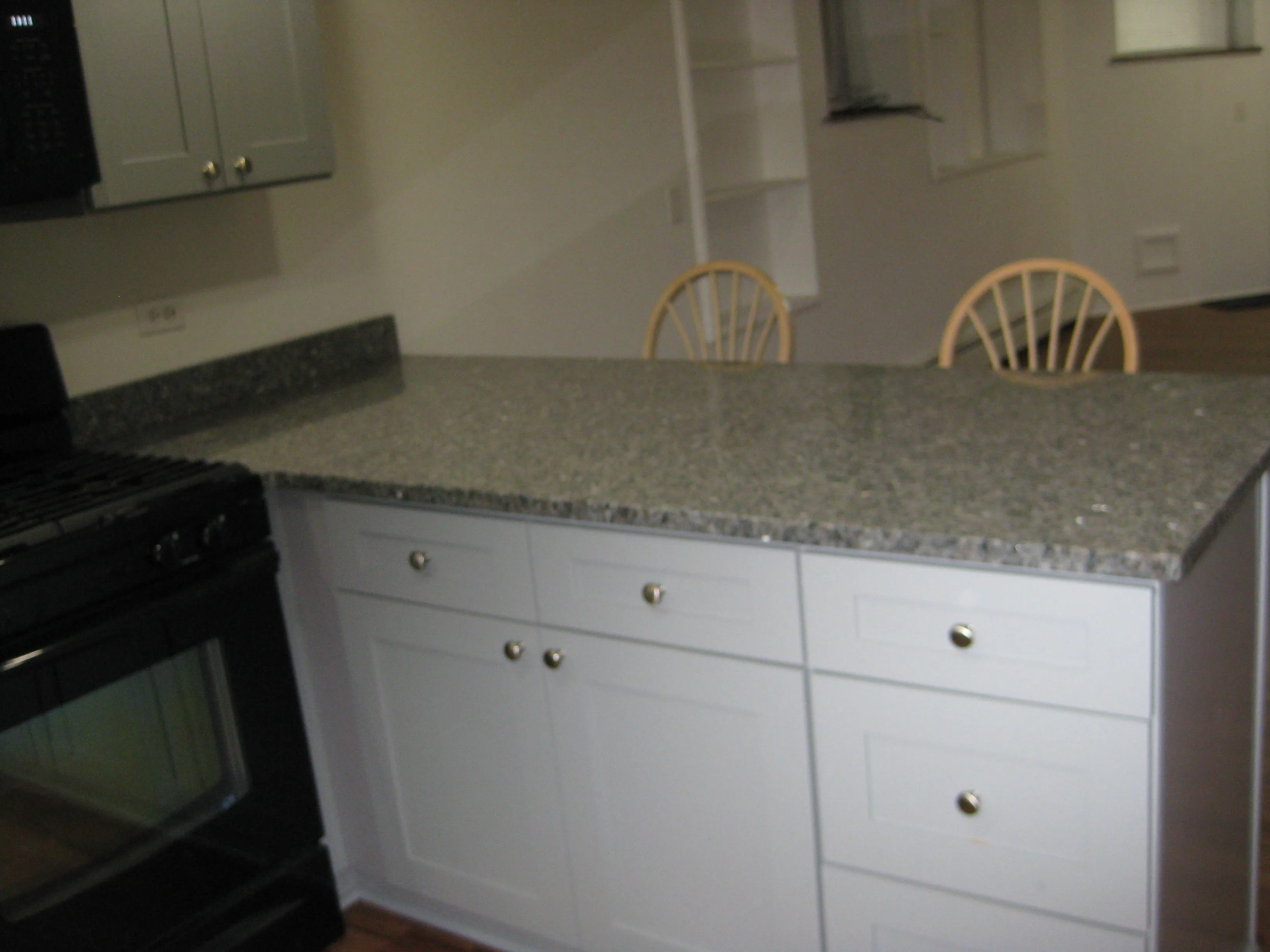 1038 W GEORGE ST 60657-unit#G-Chicago-IL