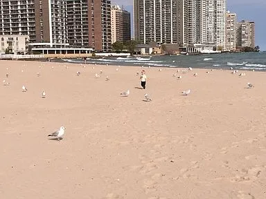 5701 N SHERIDAN RD 60660-Hollywood Towers-unit#5S-Chicago-IL