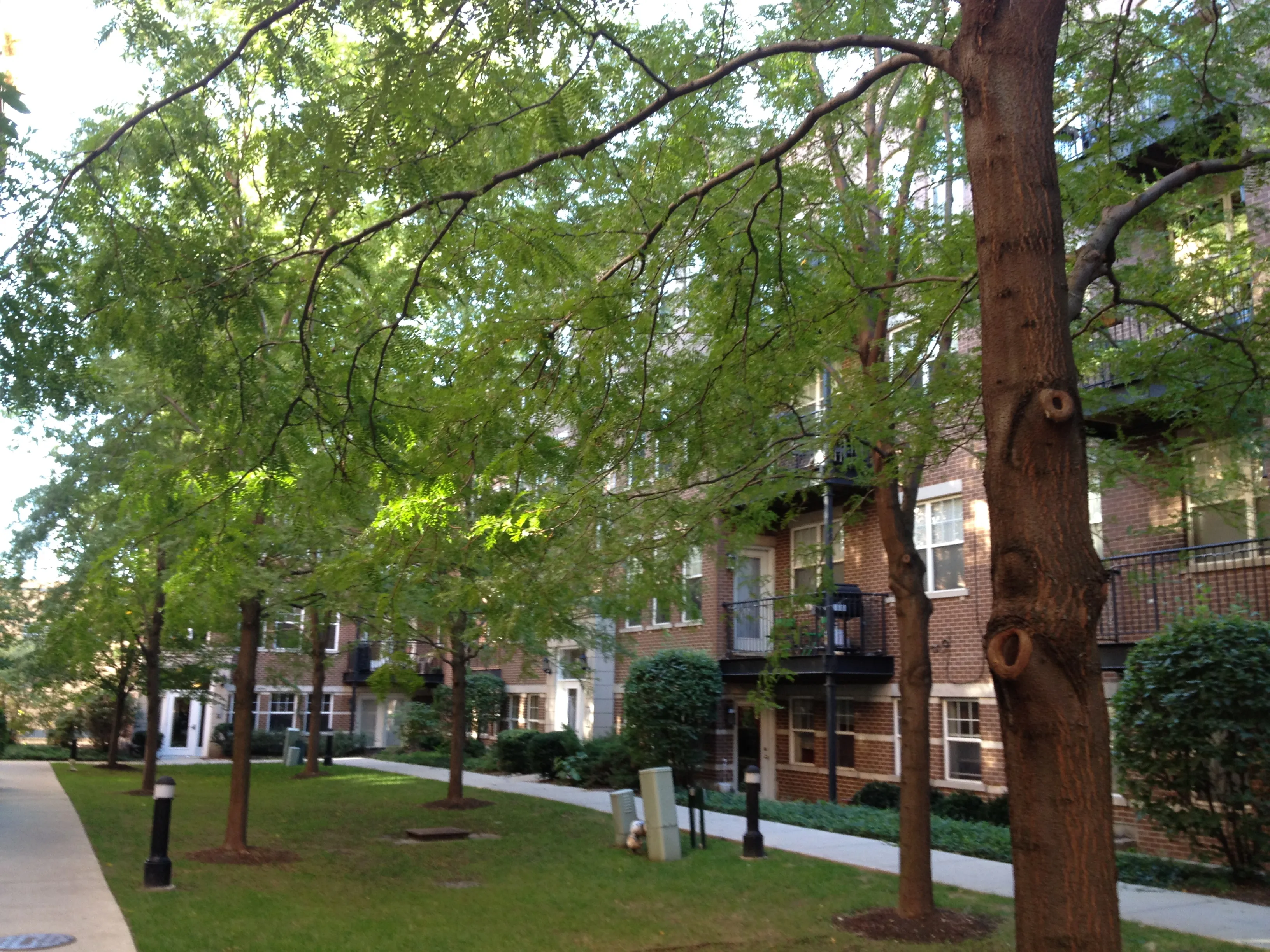 303 W SCOTT ST 60610-Old Town Square Two-unit#A303-Chicago-IL