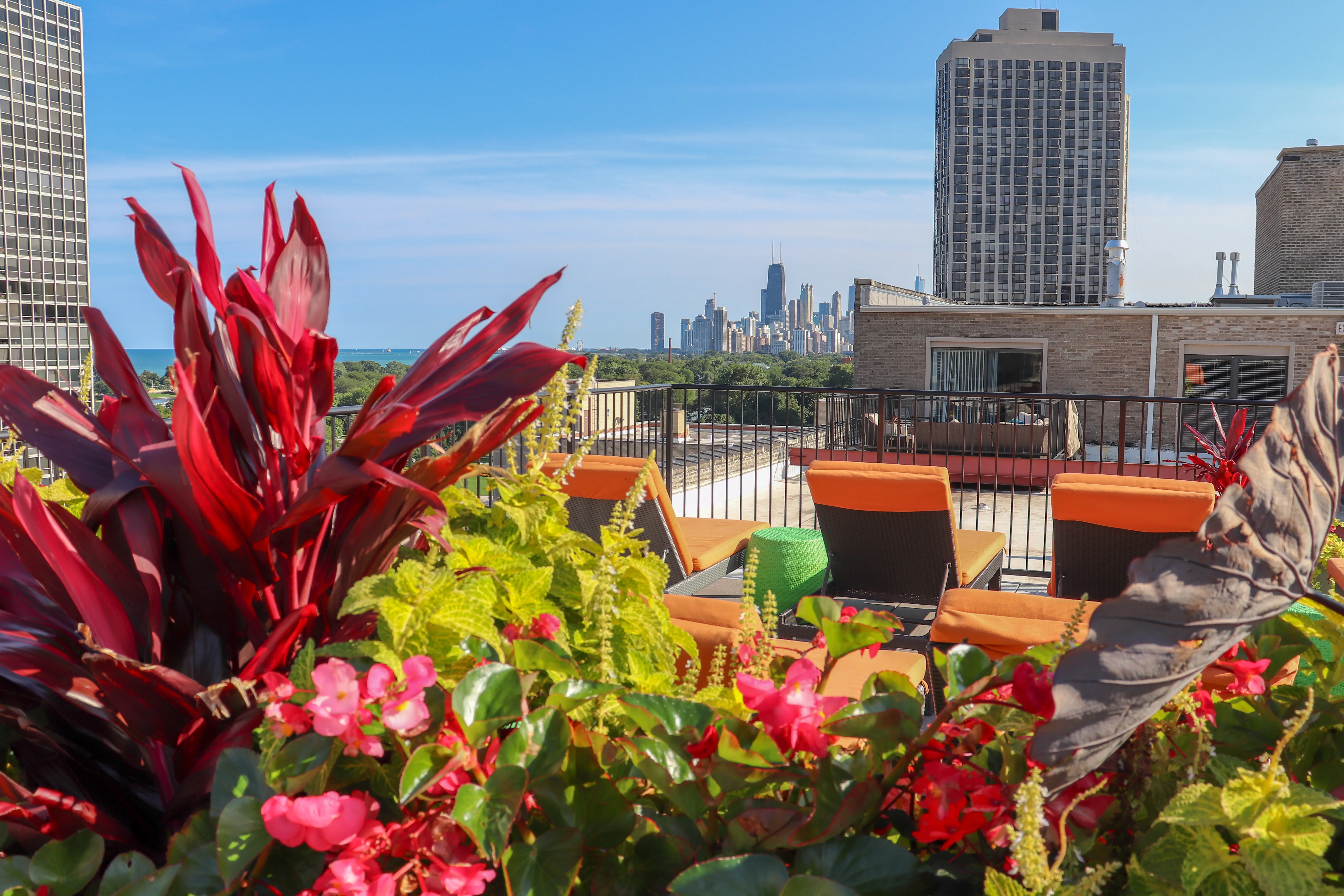 Reside on Surf Apartments