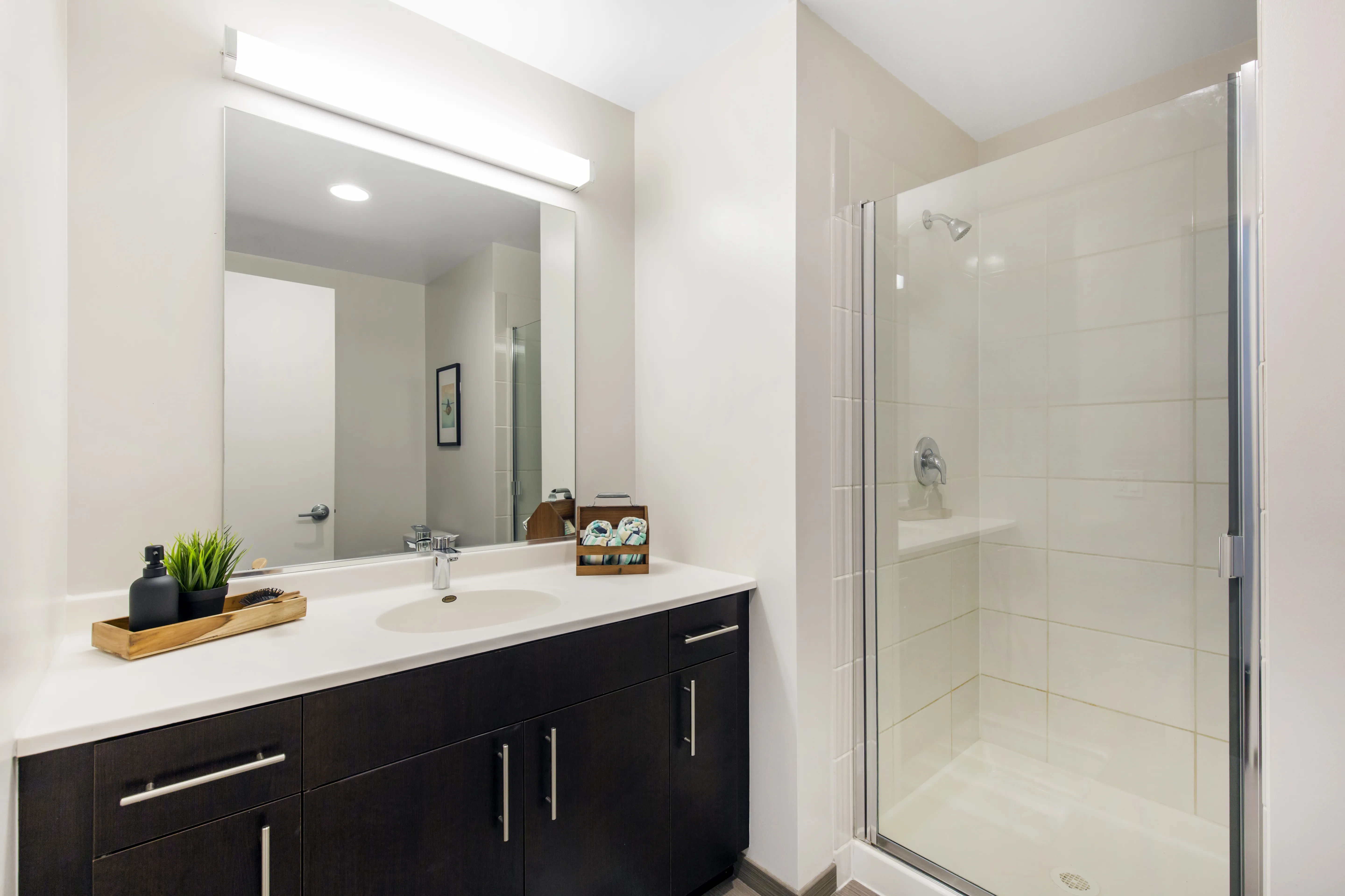 Infinite Student Housing Chicago Apartments