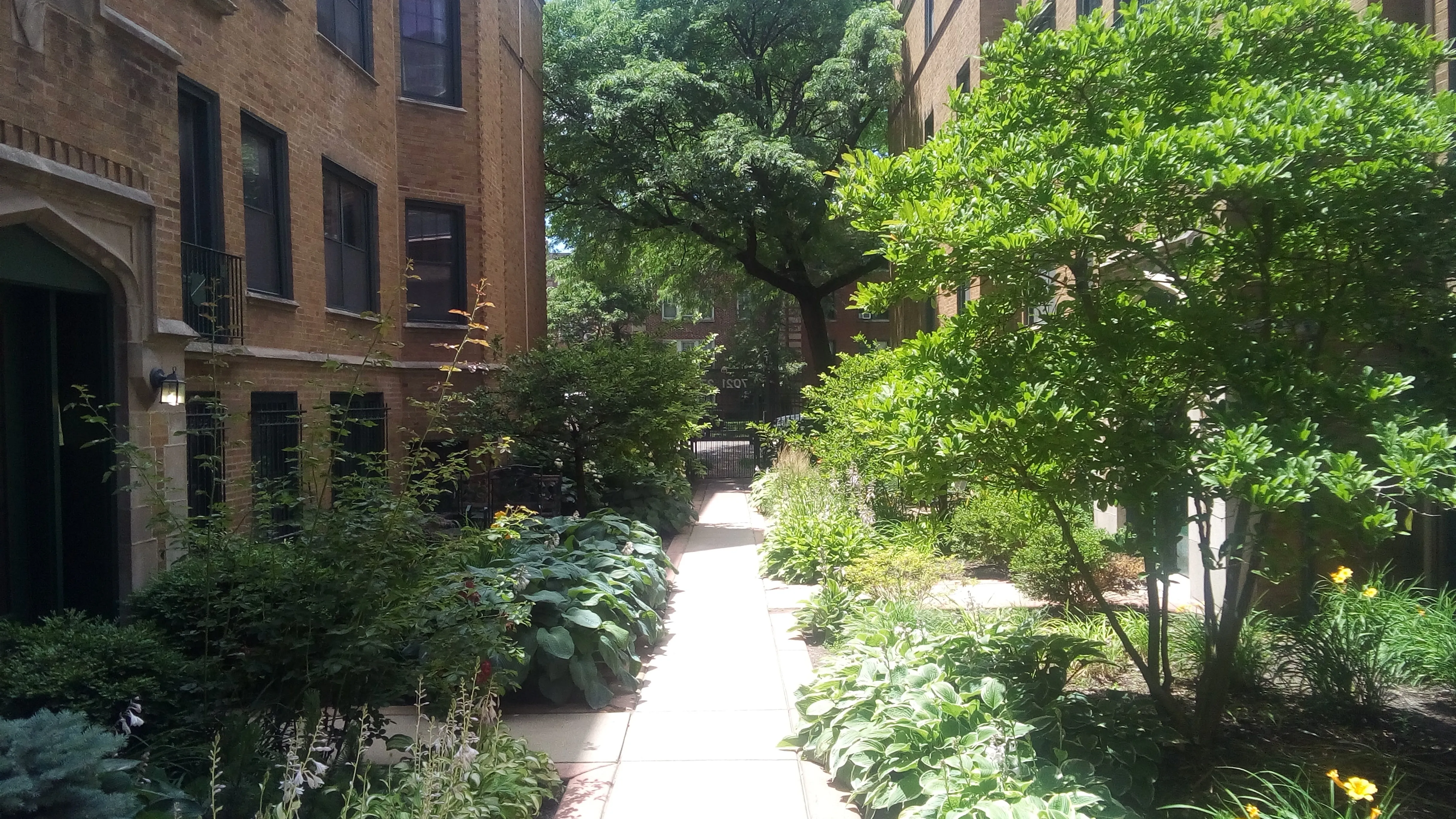 7025 N SHERIDAN RD 60626-Sheridan Shores Condos-unit#1N-Chicago-IL