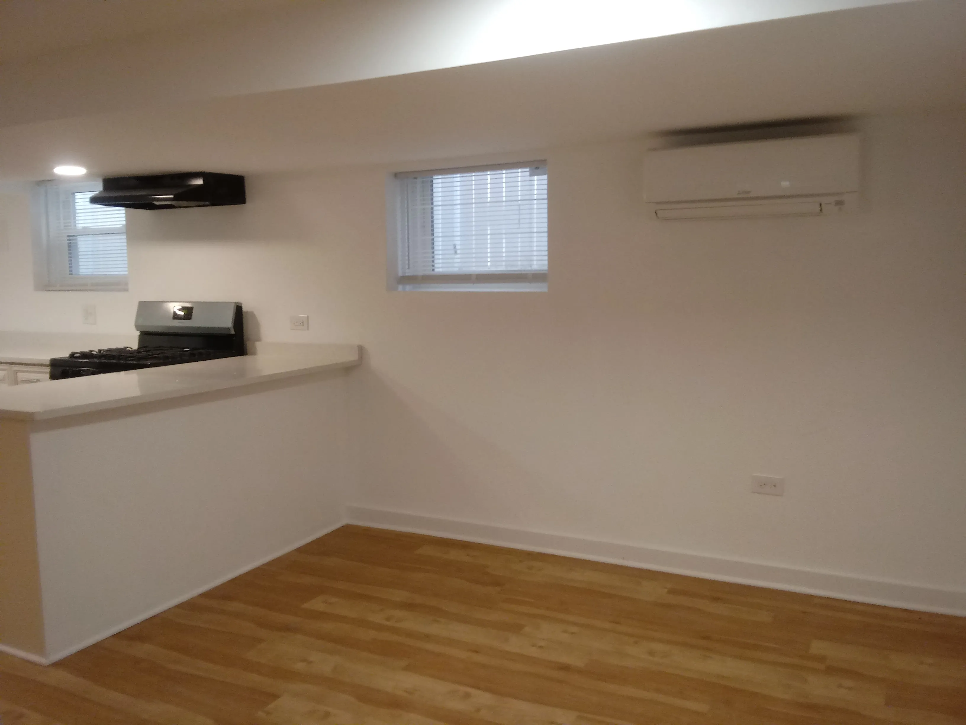 348 CUSTER AVE 60202-unit#1B-Evanston-IL