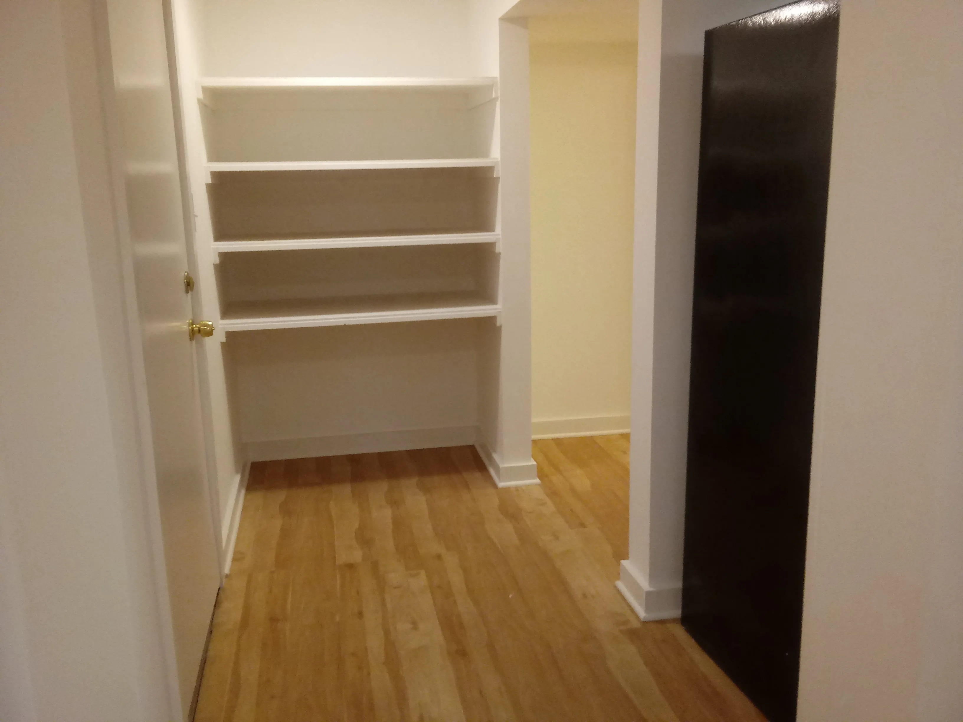 348 CUSTER AVE 60202-unit#1B-Evanston-IL