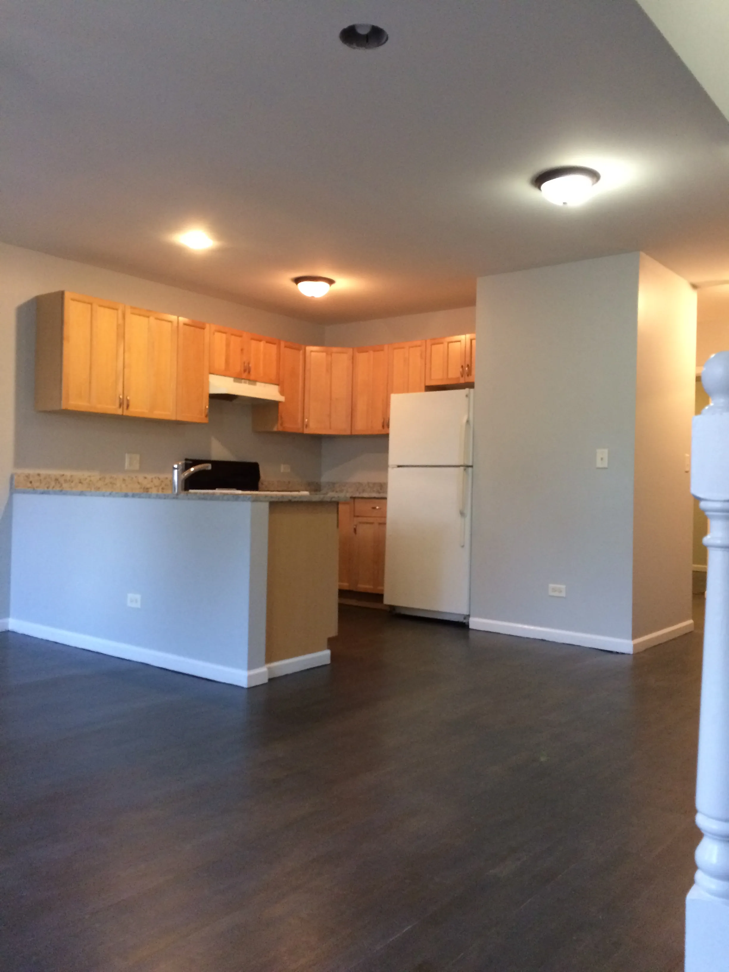 2846 W 25th Pl 60623-unit#01-Chicago-IL